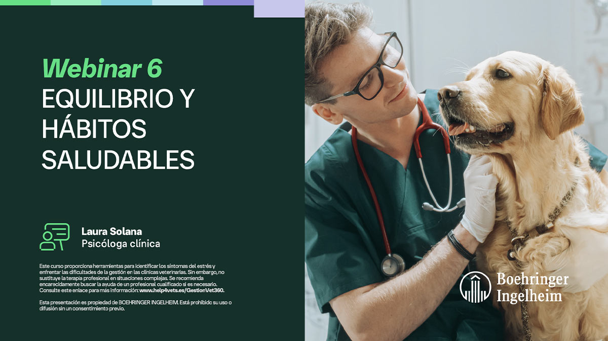 Help4vets | Cuidamos de los animales ❤️ Recursos y formación